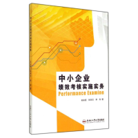 音像中小企业绩效考核实施实务田安意