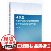 硅酸盐微纳分级结构/碳复合物的设计合成及电化学性能 唐春娟 著