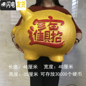 三维工匠小金猪存钱罐儿童储蓄罐大容量陶瓷储钱罐不可取大人家用只进不出 单只48CM送猪垫(可取钱款)