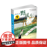 野风车正版全套曹纯美小说系列 初中小学生课外阅读书籍三四五六年级经典书目江苏凤凰少年儿童出版社安徒生儿童文学大奖