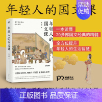 [正版]年轻人的国文课 张一南 著 国学经典里的处世智慧 传统文化修养图书 修身养性净化心灵 清华复旦高校名师一致 国文