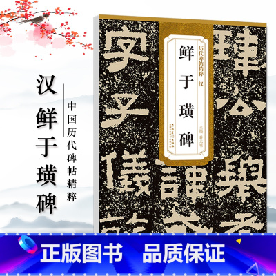 [正版]历代碑帖精粹 汉 鲜于璜碑 汉隶书毛笔成人学生书法临摹帖字帖 简体旁注 原碑原帖 薛元明编 安徽美术出版社