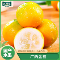 [苏鲜生]广西小金桔 3斤 特大果 约28个/斤 新鲜水果脆甜滑皮冰糖金桔应当季水果