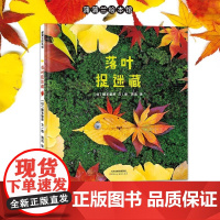秋天主题系列落叶捉迷藏精装绘本2岁以上落叶搭建的各种造型的小动物锻炼小朋友们的想象力动手能力和立体思维蒲蒲兰正版童书