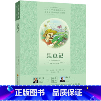 昆虫记 小学通用 [正版]昆虫记经典文学名著精选丛书法法布尔著少儿百科昆虫百科词典青少年中小学初高中阅读现当代文学作品