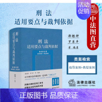 [正版] 刑法适用要点与裁判依据 类案检索指导案例典型案例 郝银钟 罗书平 刑事案件办案实用工具书 刑事法治宣传指导手册