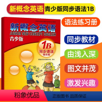 [正版]新概念英语青少版1B同步语法快乐练新概念英语配套语法练习题练习册新概念英语辅导资料书语法讲练测新概念英语课文语