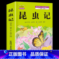[注音版]昆虫记 [正版]注音版三年级上册必读课外书稻草人书叶圣陶快乐读书吧安徒生童话格林童话必读的老师一二年级3年级同