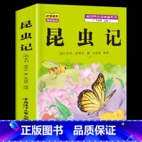 [注音版]昆虫记 [正版]注音版三年级上册必读课外书稻草人书叶圣陶快乐读书吧安徒生童话格林童话必读的老师一二年级3年级同