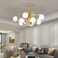 苏宁放心购 吊扇灯隐形风扇灯led餐厅北欧吊灯卧室客厅创意个性餐厅灯三色调光变频风扇吊灯金色