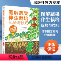 [正版]图解蔬果伴生栽培优势与技巧 蔬菜栽培种植技术书籍 蔬菜伴生栽培模式 蔬果栽培搭配 常见蔬菜伴生表设施番茄西瓜黄