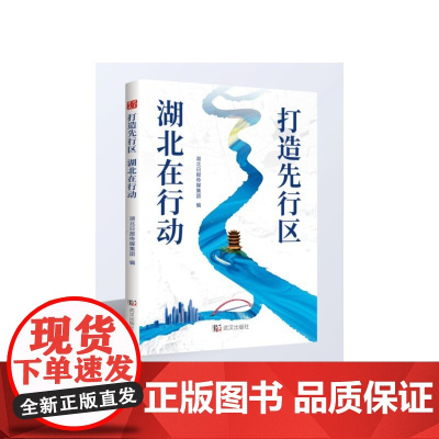 《打造先行区 湖北在行动》