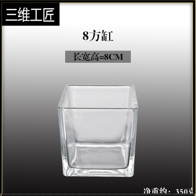 水培器皿创意玻璃花盆水养植物瓶透明花器绿萝白掌花瓶正方形容器三维工匠8方缸