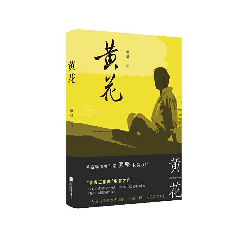 正版新书]黄花顾坚9787559442567