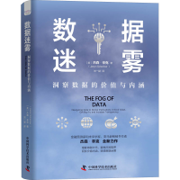 正版新书]数据迷雾 洞察数据的价值与内涵(美)杰森·辛克97875046