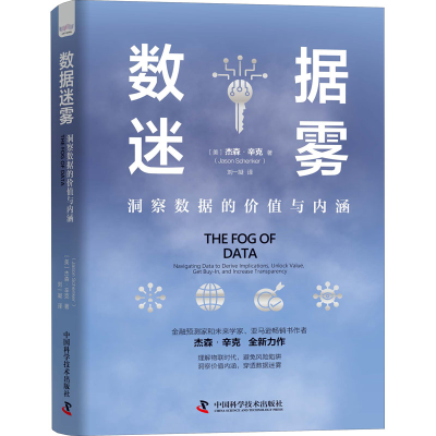 正版新书]数据迷雾 洞察数据的价值与内涵(美)杰森·辛克97875046