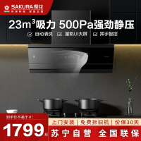 樱花(SAKURA)油烟机CXW-300-TJC02大吸力23立方吸油烟排烟机家用厨房