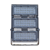 雷森旭 LED泛光灯 WF285B 300W 个