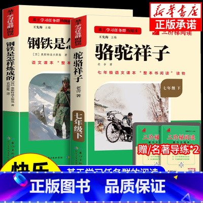[七下必读]骆驼祥子+钢铁是怎样练成的(赠三阶梯阅读) 初中通用 [正版]初中必读名著骆驼祥子和钢铁是怎样练成的原著七八