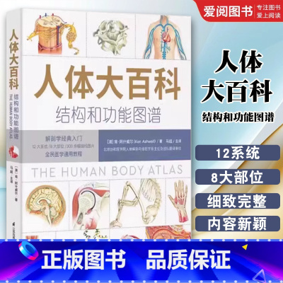 人体大百科 - 结构和功能图谱 [正版]人体大百科 结构和功能图谱 江苏凤凰科学技术出版社 解剖学入门教程 医学科普书籍