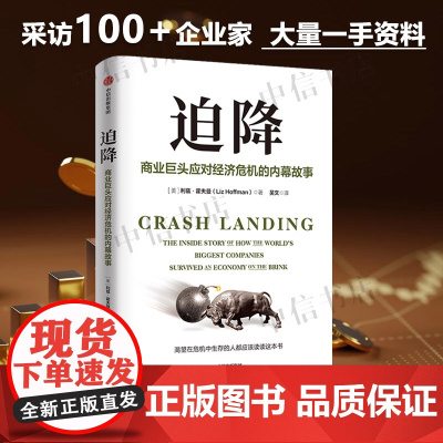迫降 商业巨头应对经济危机的内幕故事 利兹霍夫曼著 2020年经济危机 黑天鹅 危机中生存经济