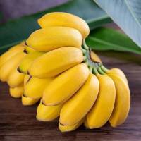 [西沛生鲜]西贡香蕉 净重3斤 箱装 新鲜当季水果 香甜软糯 孕妇宝宝辅食