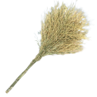 诚智旺 竹扫帚 ZSZ-1/把