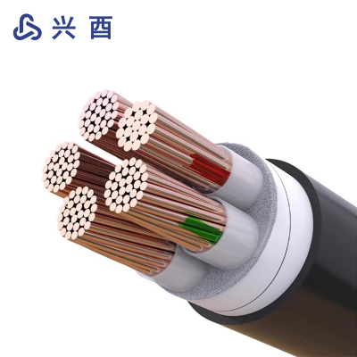 兴酉 铠装电力电缆线 YJV22-2*300 米