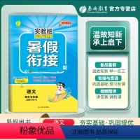 语文 小学通用 [正版]2023秋实验班提优训练暑假衔接四升五年级语文人教版假期训练4升5同步练习册暑假作业四年级下册五