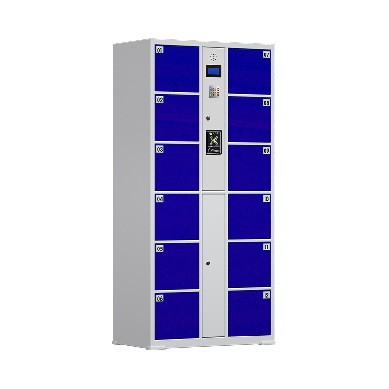 臻远 ZY-CBGC-17 电子存包柜智能寄存柜密码柜子储物柜 12门微信扫码款