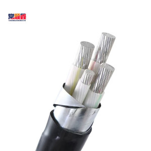 常顺鑫 低压铝芯电缆ZC-YJLV22 3×95+1×50 米