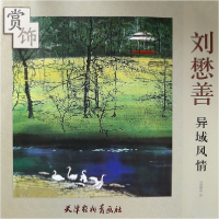 音像刘懋善异域风情赏饰绘画:刘懋善