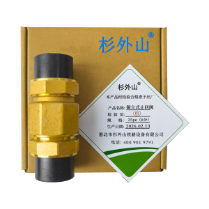 杉外山 PE热熔管件 铜立式止回阀 个