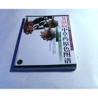 正版新书]艾滋病中草药原色图谱/疾病中草药原色图谱丛书黄燮才9