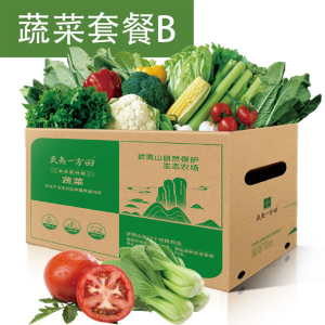 苏宁宜品推荐武夷一方田武夷一方田蔬菜套餐B(共8次配送)