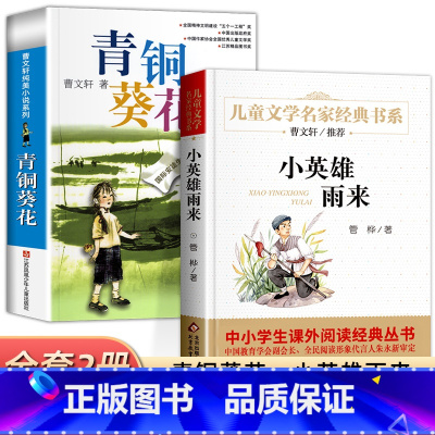 [全2册]青铜葵花+小英雄雨来 [正版]青铜葵花草房子曹文轩 江苏少年儿童出版社 原著纯美小说系列儿童文学青少年版 四五