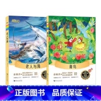 老人与海+青鸟 [正版]老人与海+青鸟 小学生课外阅读读物海明威世界名著外国小说儿童文学大语文名著阅读
