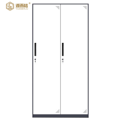 源而桔 套色二门更衣柜铁皮柜W900*D400*H1850mm/个