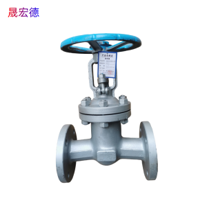 晟宏德 铸钢法兰闸阀 DN40 个