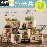 三维工匠多肉花盆陶瓷创意个性粗陶肉肉植物盆器大口径小花盆 藕色黛布拉米6个 中小花盆容器