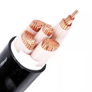 三信 铜芯电力电缆ZC-YJV3×6+1×4 米