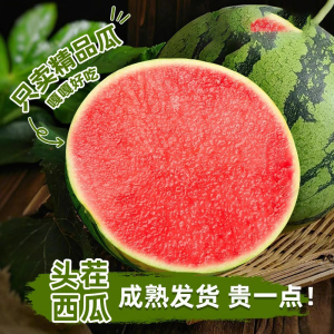 企采严选 头茬麒麟西瓜水果新鲜无籽一颗