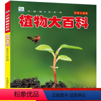 (任选3本仅39元)植物大百科 [正版]小眼睛看世界全套22册 中国儿童趣味百科全书大百科注音版科普书籍小学生一二年级课