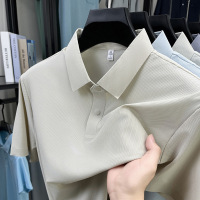 男士短袖T恤2025年新款夏季翻领POLO衫休闲百搭中青年上衣