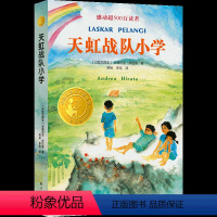 [正版]天虹战队小学小译林国际大奖童书感动500万读者儿童文学作家梅子涵作 8-12岁儿童文学三四五年级小学生课外阅读