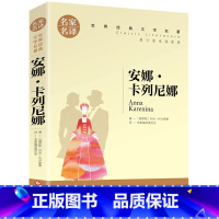 安娜卡列尼娜 [正版]5本25元傲慢与偏见原着原版 初中高中小学生课外阅读书籍小说 青少年名著书籍 成人阅读名著书籍名家