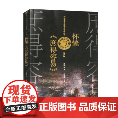 怀愫与 庶得容易 王玉玊 著 小说