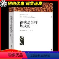 [满2件9折]钢铁是怎样炼成的 [正版]假如给我三天光明 海伦凯勒著 原著全译本中文版完整版无删减 小学生版初中生版课外