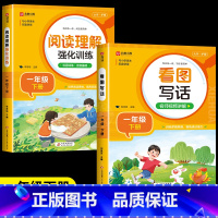 [2册]阅读理解+同步作文 一年级上 [正版]2024阅读理解强化训练专项训练书一二三四五六年级上册下册人教版小学语文同