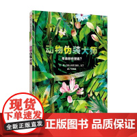 动物伪装大师 3-6岁 马克・马丁 著 动物界的超级伪装术 12种善于伪装的动物 展示57种大自然生存技巧12个高难度眼